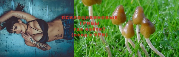 марки nbome Беломорск