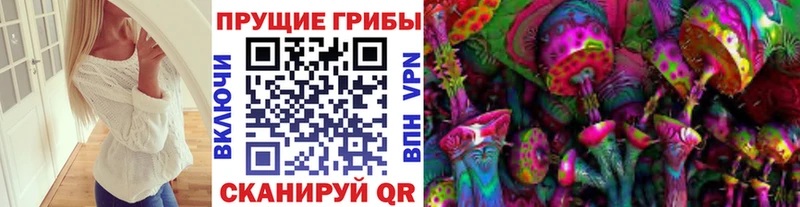 Галлюциногенные грибы Psilocybine cubensis  купить  цена  Свободный 