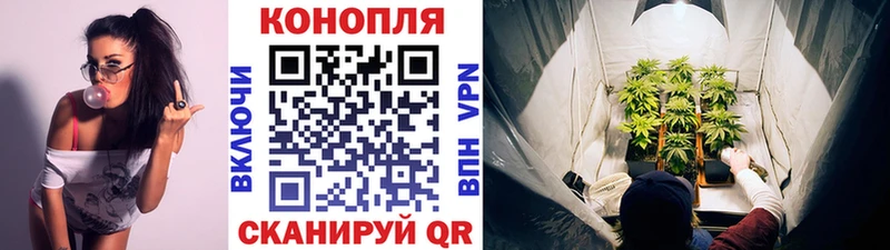 как найти   Свободный  Каннабис гибрид 